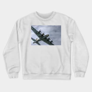 Sally B Over the Top Crewneck Sweatshirt